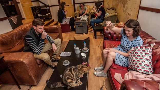 The Cat Café - A Perfect Forever Home or Hellish Nightmare?