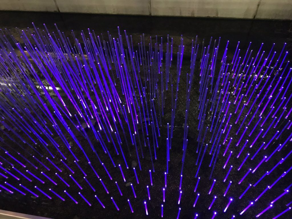 Sensory Sensation! Canary Wharf Winter Lights