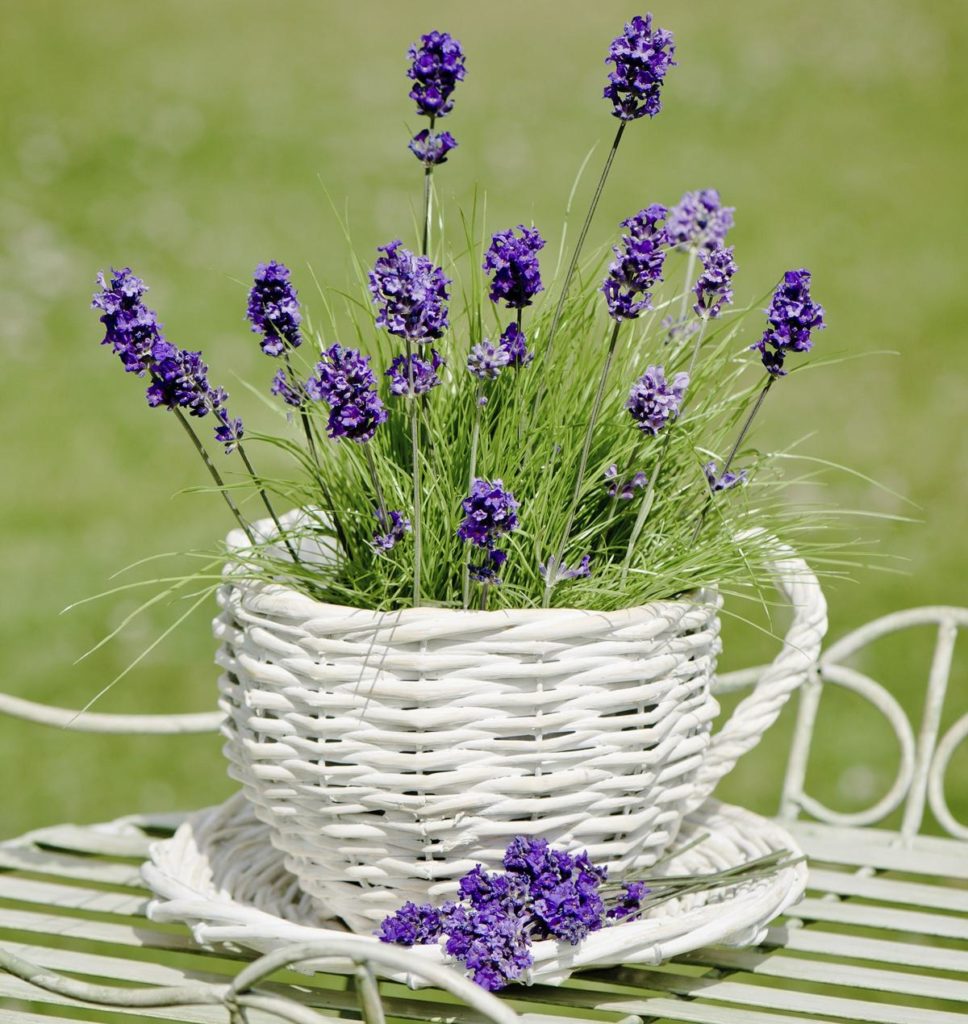 Beautiful Sensory Box!